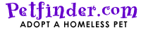 Check out their listings of thousands of available dogs and cats