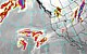 Click here to go to the NOAA Infrared 16km Satellite Loop
