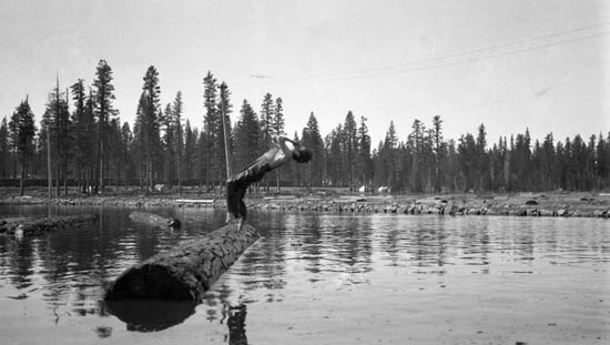 Log Pond