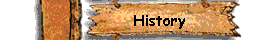 History Of Our Company