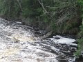IMG_2079