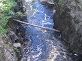 IMG_2122