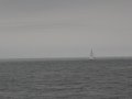 IMG_2842