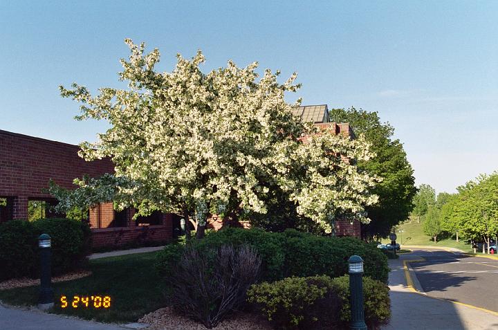 image171.JPG