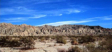 Arizona's Desert Landscape